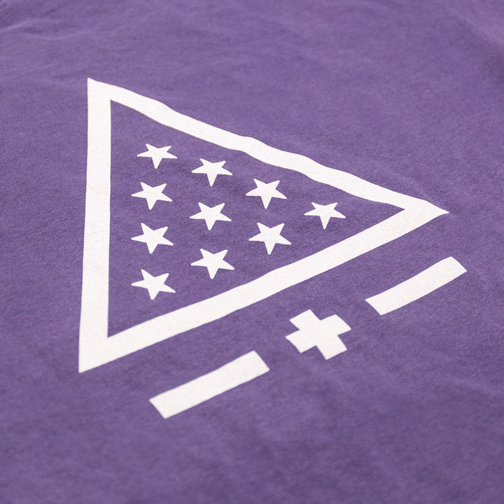 Sigma Pi Tee in Purple